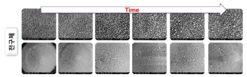 반응 시간에 따른 TiO2 embedded 전구체 형상