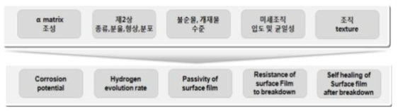 Mg 부식에 미치는 금속학적 인자 및 내식합금 개발 방안