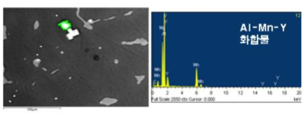 Y 첨가 합금에 대한 SEM/EDS 관찰