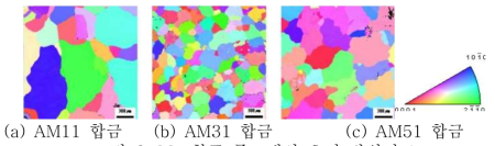 Mg 합금 주조재의 초기 방위지도