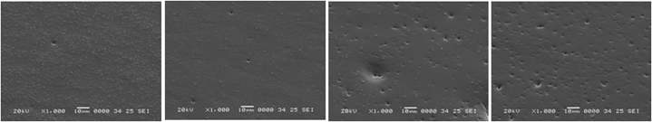 T1 첨가에 따른 표면 SEM Image