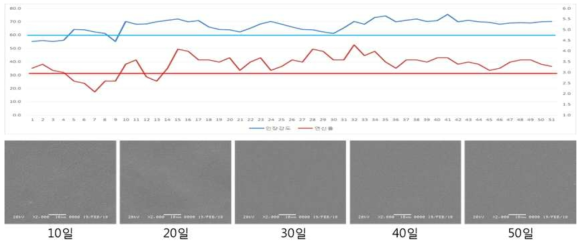 50일간 첨가제, 전류 최적 조건 아래 장기 가동 Test