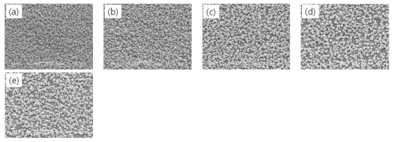 첨가제 A 농도에 따른 표면 morphology 비교 : (a) 첨가제 A 30g 노듈처리 후, (b) 첨가제 A 35g 노듈처리 후, (c) 첨가제 A 40g 노듈처리 후, (d) 첨가제 A 45g 노듈처리 후, (e) 첨가제 A 50g 노듈처리 후