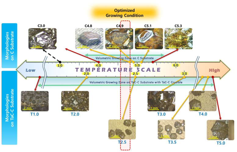 C 판에서와 TaC 코팅 판에서의 성장성 변화 및 최적화 온도 구역 비교