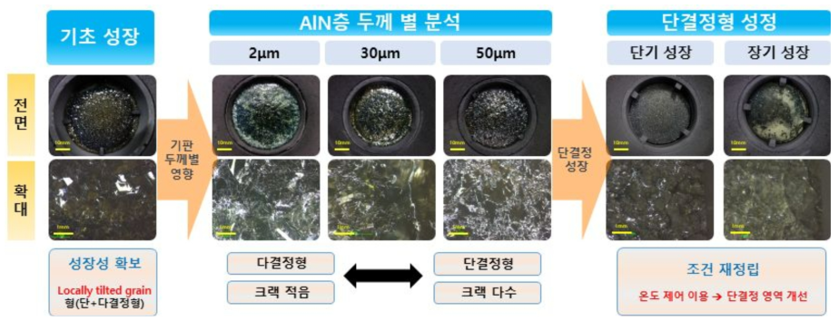 2인치 시드 대체용 AlN on SiC 기판을 이용한 적용성 평가 - 다양한 두께별 성장 결과 성장 결과