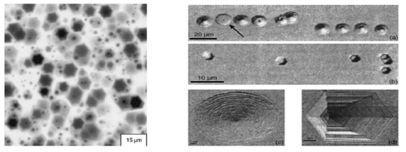 AlN표면 etch pits의 SEM 사진