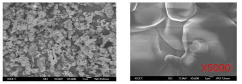 재 결정화를 통한 AlN 분말 입도 제어 (AlN 분말 SEM images)