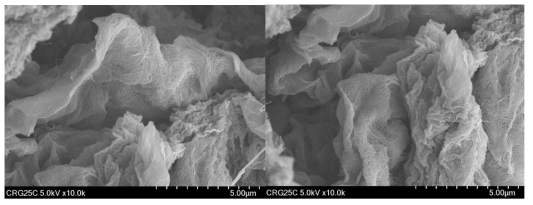 그래핀-CNT 복합화 SEM 측정