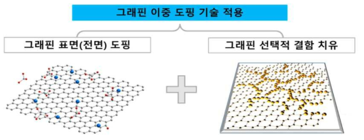 그래핀 표면 도핑 및 선택적 결함 치유 기술을 이용한 이중 도핑 기술