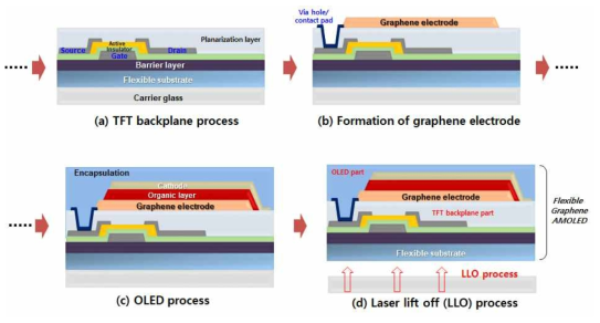 플렉서블 그래핀 AMOLED 패널 공정도