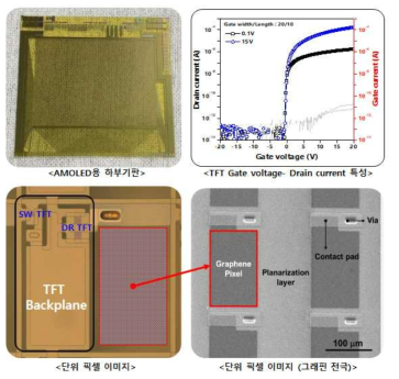 플렉서블 그래핀 AMOLED용 하부기판, TFT 특성, 및 단위 픽셀 이미지