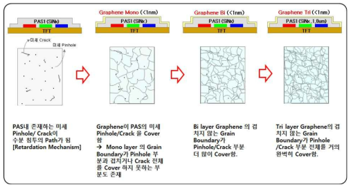 CVD 그래핀 방지막 필름에 의한 OLED 투습도 특성 향상 개념도