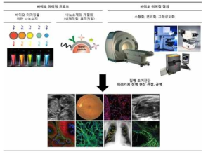 바이오 이미징 기술의 개요