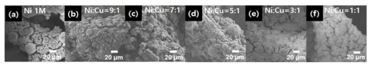 Cu 조촉매 농도별 SEM 분석 결과