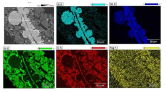 Ni-Mg계 조촉매가 담지된 다공성 금속 소재 SEM-EDS 분석 결과