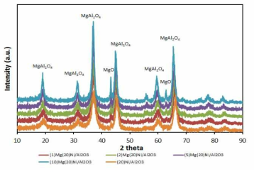 Mg 함량에 따른 XRD patterns