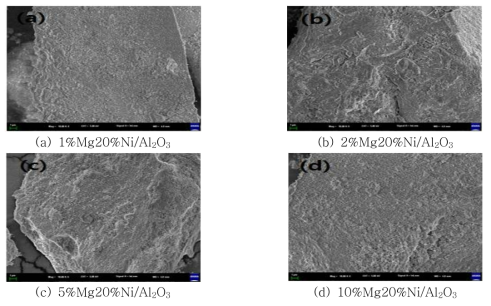 Mg 함량에 따른 SEM 분석 결과