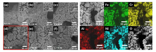 Ni 침지 코팅법 및 Ni계 전구체 농도에 따른 SEM 및 EDS 분석 결과