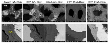 PEO 공정조건에 따른 FeCrAl 코팅층의 SEM 이미지