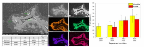Cubic-NiCrAl(10*10*10)㎜의 PEO 공정 후, 형성된 코팅층 분석 및 두께 측정