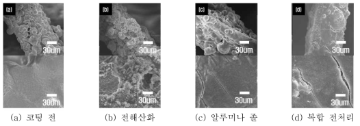 전처리 적용한 다공성 금속소재의 SEM 분석 결과