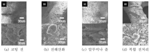 전처리 적용 후 촉매 코팅한 다공성 금속소재의 SEM 분석 결과