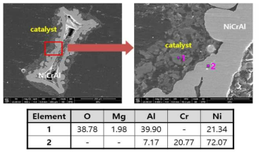 다공성 금속 촉매의 내구성 평가 전의 단면, EDS 성분 분석