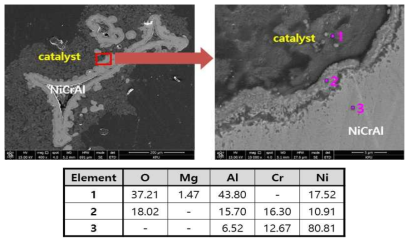 다공성 금속 촉매의 내구성 평가 후의 단면, EDS 성분 분석