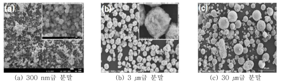 Ni계 분말의 SEM 관찰 결과