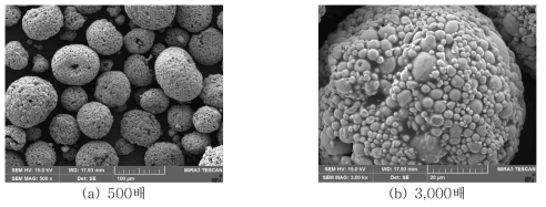 Fe계 분말의 SEM 관찰결과