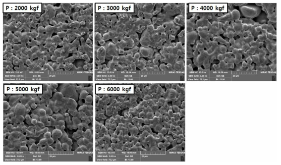 성형압력에 따른 다공체의 미세구조 SEM 관찰 결과