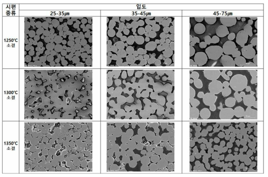 소결온도 및 입도에 따른 Fe계 다공성 금속 소재의 단면 미세조직