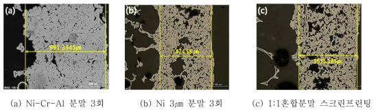 혼합분말로 제조된 이중기공의 메탈폼 절단면 미세조직