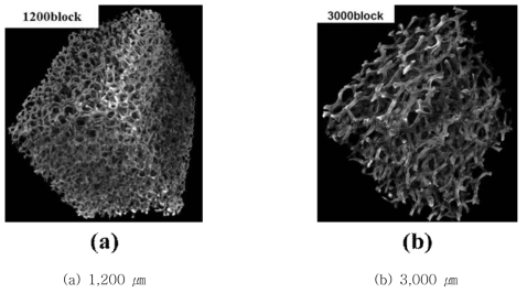 NiCrAl 다공성 금속 소재의 기공 구조 (Micro-CT)