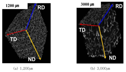 벌크형 다공성 금속 소재의 micro-CT images