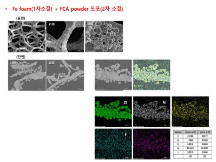 Type 2 시편의 표면, 단면 및 EDS mapping 결과