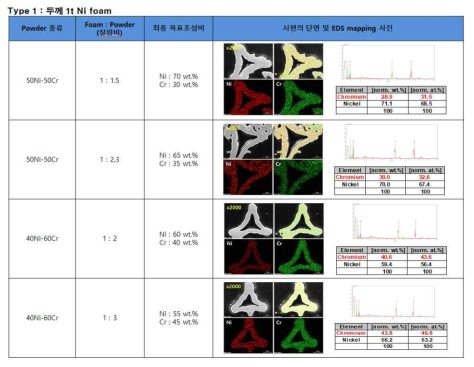 Type 1 시편의 단면 및 EDS mapping 사진