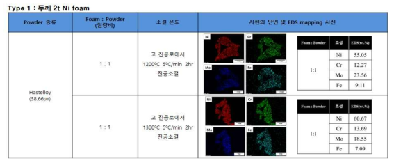 Type 1 시편의 단면 및 EDS mapping 사진