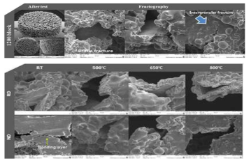 1200 ㎛ 지지체의 상온, 500, 650, 800 ℃ 압축실험 후 파면 관찰결과