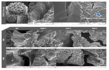 3,000 ㎛ 지지체의 상온, 500, 650, 800 ℃ 압축실험 후 파면 관찰결과