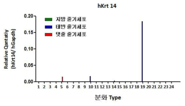 성체 줄기 세포 주에서 분화 Type별 Krt14 발현율 비교