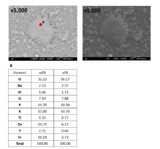파티클 B의 FE-SEM 및 EDS 분석