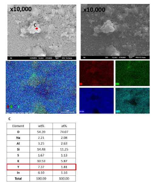 파티클 C의 FE-SEM 및 EDS 분석