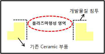 활용 방안 모식도