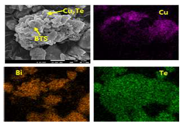 Cu2Te 나노입자와 BTS 혼합체의 SEM/EDS 분석