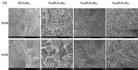 Cu 함량별 n형 SPS 소결재 파단면 분석 결과