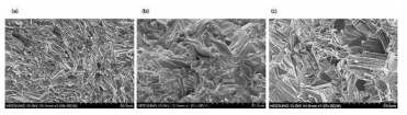 소결 압력 및 시간 조건에 따른 Cu0.01 BTS 파단면 분석결과, (a) Cu0.01 BTS(14ton, 1h), (b) Cu0.01 BTS(압력변경 1ton, 1h), (c) Cu0.01 BTS(14ton, 시간증대 10h)