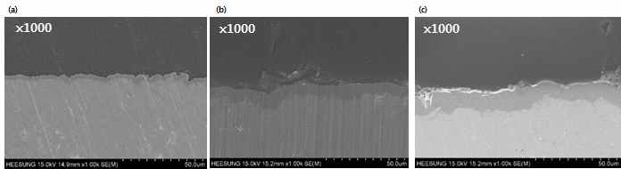 도금 공정 시간에 따른 D/B층 두께 평가 결과, (a) 15min, (b) 60min, (c) 80min