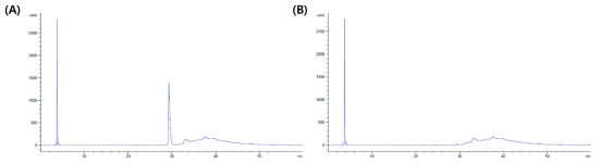 Serum이 함유되어 있는 SWF에서의 성장인자 분석 (A) s-EGF (B) hs-bFGF