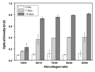 HA/collagen 비율에 따른 세포 성장거동